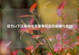 官方lol下注揭秘电竞赛事背后的黑幕与真相