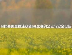 lol比赛哪里投注安全LOL比赛的公正与安全投注