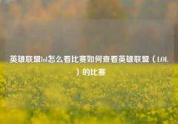 英雄联盟lol怎么看比赛如何查看英雄联盟（LOL）的比赛
