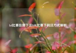 lol比赛在哪下注LOL比赛下的注方式解析