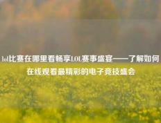 lol比赛在哪里看畅享LOL赛事盛宴——了解如何在线观看最精彩的电子竞技盛会