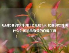 压lol比赛的软件叫什么压服 LOL 比赛的软件叫什么？揭秘最有效的作弊工具