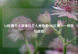 lol比赛个人视角从个人视角看LOL比赛——体验与感悟