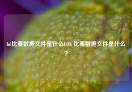 lol比赛数据文件是什么LOL 比赛数据文件是什么？