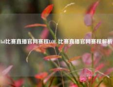 lol比赛直播官网赛程LOL 比赛直播官网赛程解析