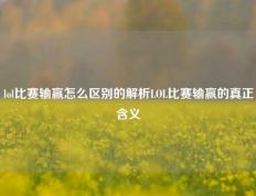 lol比赛输赢怎么区别的解析LOL比赛输赢的真正含义