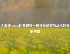 大象杯lol2025比赛视频一场视觉盛宴与战术较量的对决