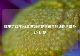 哪里可以压LOL比赛如何找到适合的场地来举办LOL比赛