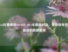 lol比赛视频2014LOL 2014年巅峰对决，史诗级电竞盛宴的震撼重现
