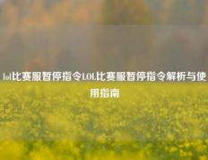 lol比赛服暂停指令LOL比赛服暂停指令解析与使用指南