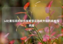 lol比赛压钱的软件探索非法游戏外挂的真相与风险