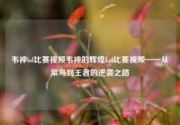 韦神lol比赛视频韦神的辉煌Lol比赛视频——从菜鸟到王者的逆袭之路
