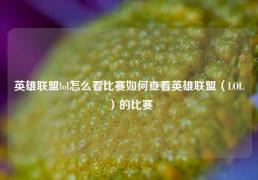 英雄联盟lol怎么看比赛如何查看英雄联盟（LOL）的比赛