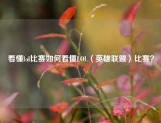 看懂lol比赛如何看懂LOL（英雄联盟）比赛？