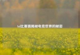 lol比赛猜揭秘电竞世界的秘密