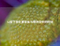 lol接下来比赛紧张与期待交织的时刻