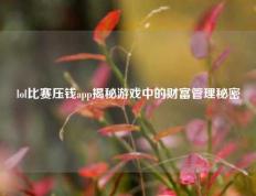 lol比赛压钱app揭秘游戏中的财富管理秘密