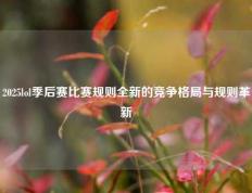 2025lol季后赛比赛规则全新的竞争格局与规则革新