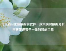可以看lol比赛数据的软件一款集实时数据分析与赛事观看于一体的智能工具
