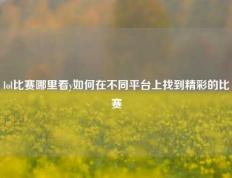 lol比赛哪里看y如何在不同平台上找到精彩的比赛