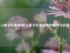 lol盒子比赛视频LOL盒子比赛视频的魅力与价值