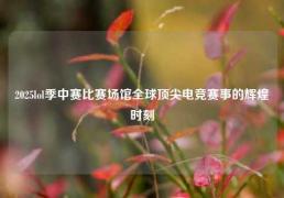 2025lol季中赛比赛场馆全球顶尖电竞赛事的辉煌时刻