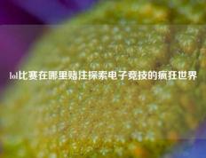 lol比赛在哪里赌注探索电子竞技的疯狂世界
