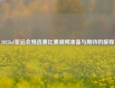 2025lol亚运会预选赛比赛视频准备与期待的旅程