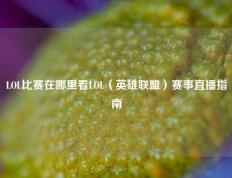 LOL比赛在哪里看LOL（英雄联盟）赛事直播指南