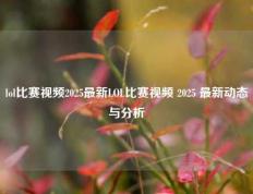 lol比赛视频2025最新LOL比赛视频 2025 最新动态与分析
