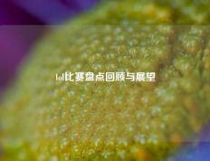 lol比赛盘点回顾与展望