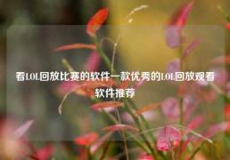 看LOL回放比赛的软件一款优秀的LOL回放观看软件推荐