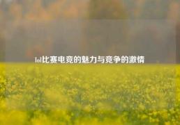 lol比赛电竞的魅力与竞争的激情