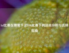 lol比赛在哪里下注LOL比赛下的注点分析与选择指南