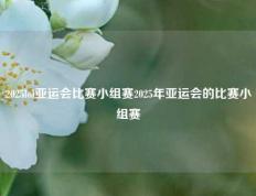 2025lol亚运会比赛小组赛2025年亚运会的比赛小组赛