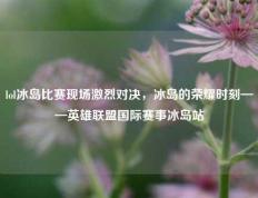 lol冰岛比赛现场激烈对决，冰岛的荣耀时刻——英雄联盟国际赛事冰岛站