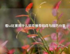 看lol比赛用什么软件推荐软件与技巧分享