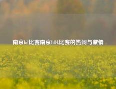 南京lol比赛南京LOL比赛的热闹与激情