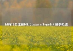 lol有什么比赛LOL（League of Legends）赛事概述