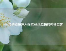 s6lol竞猜链接深入探索S6LOL竞猜的神秘世界