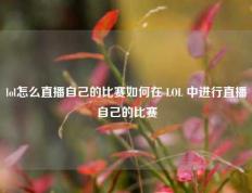 lol怎么直播自己的比赛如何在 LOL 中进行直播自己的比赛