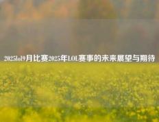 2025lol9月比赛2025年LOL赛事的未来展望与期待