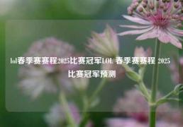 lol春季赛赛程2025比赛冠军LOL 春季赛赛程 2025 比赛冠军预测