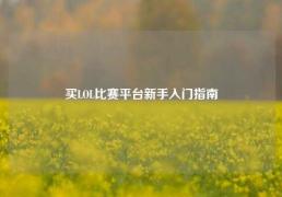 买LOL比赛平台新手入门指南