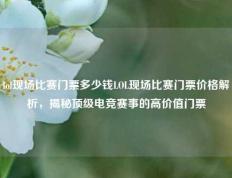 lol现场比赛门票多少钱LOL现场比赛门票价格解析，揭秘顶级电竞赛事的高价值门票