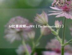 lol比赛视频msiMSI（The International 7）