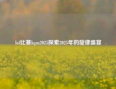 lol比赛bgm2025探索2025年的旋律盛宴