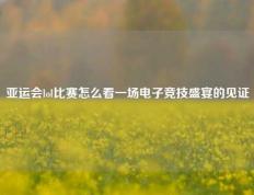 亚运会lol比赛怎么看一场电子竞技盛宴的见证