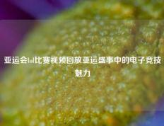 亚运会lol比赛视频回放亚运盛事中的电子竞技魅力