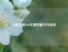 lol的比赛LOL比赛的魅力与挑战